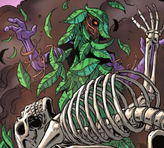 File:Druin-the-seer.jpg
